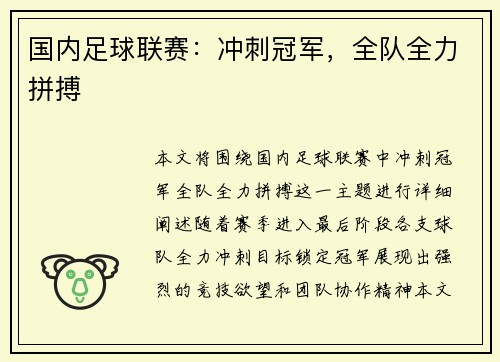 国内足球联赛：冲刺冠军，全队全力拼搏