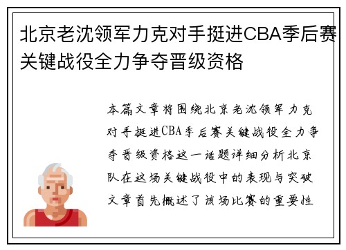 北京老沈领军力克对手挺进CBA季后赛关键战役全力争夺晋级资格